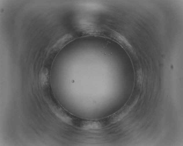 X0000064040073200601301159