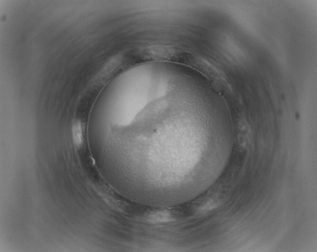 X0000064040075200601301159