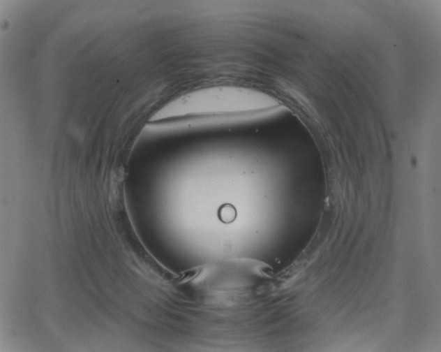 X0000064040077200601301159