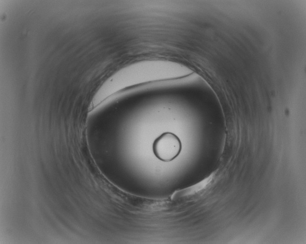 X0000064040078200601301159