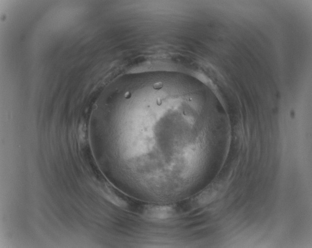 X0000064040081200601301159