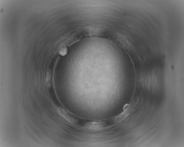 X0000064040082200601301159