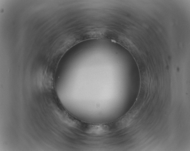 X0000064040083200601301159