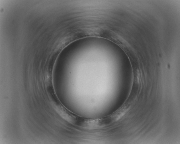 X0000064040084200601301159