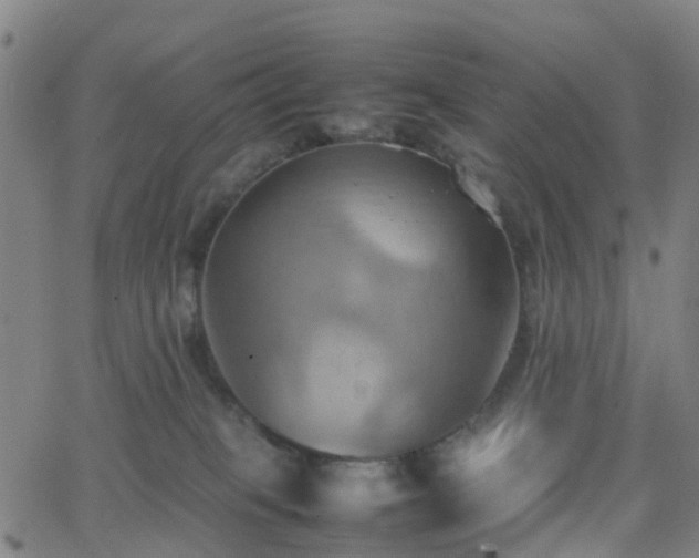 X0000064040085200601301159