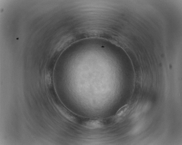 X0000064040086200601301159