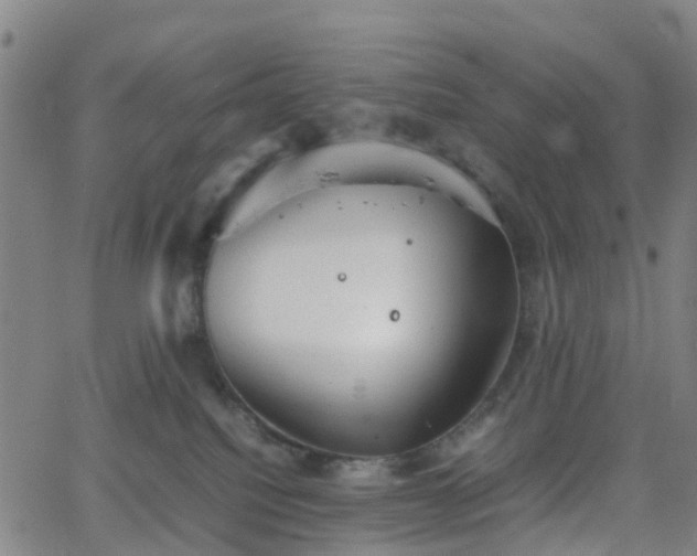 X0000064040088200601301159