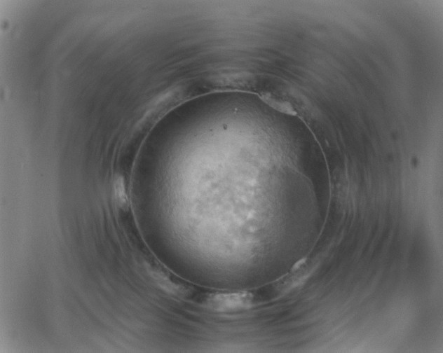 X0000064040089200601301159