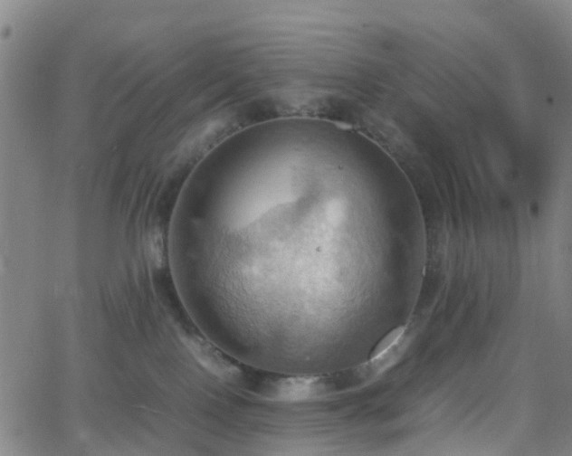 X0000064040090200601301159