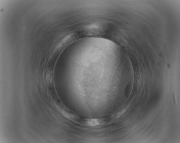 X0000064040091200601301159