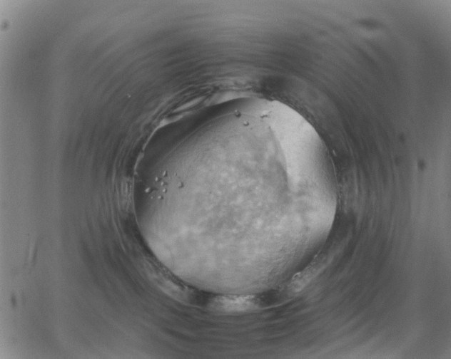 X0000064040093200601301159