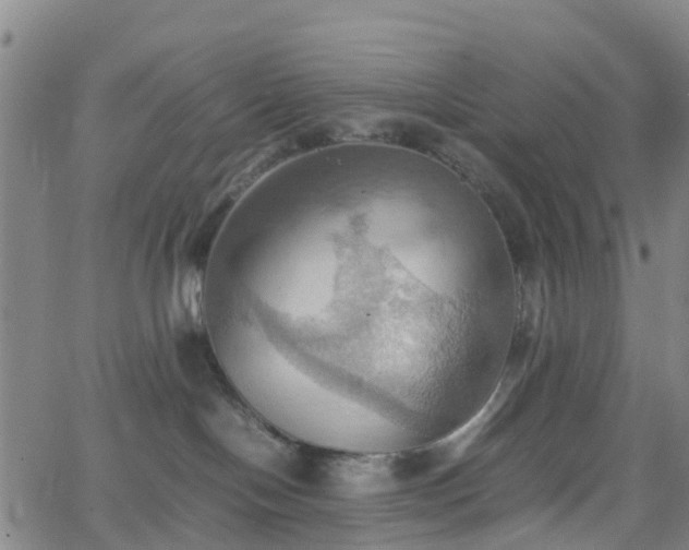 X0000064040094200601301159