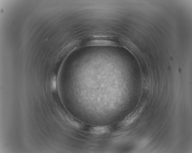 X0000064040095200601301159