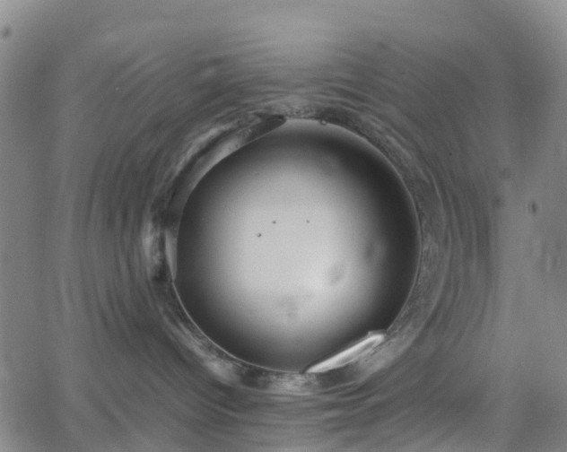 X0000064040096200601301159