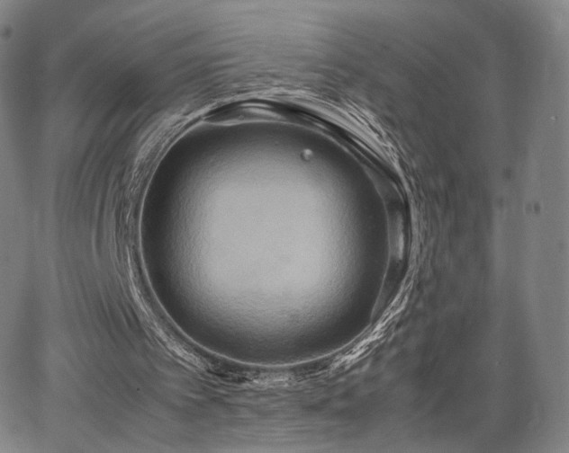 X0000064040097200601301159