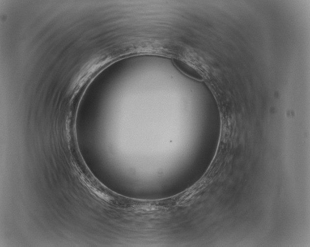 X0000064040098200601301158