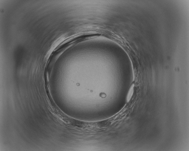 X0000064040099200601301158