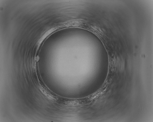 X0000064040100200601301158