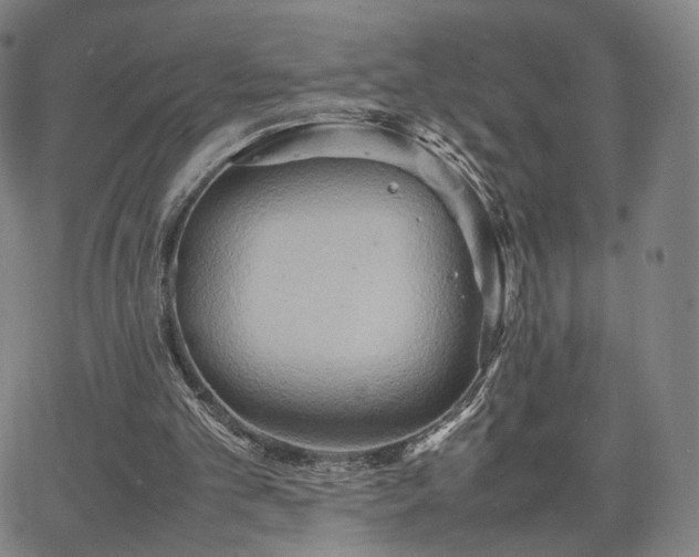 X0000064040101200601301158