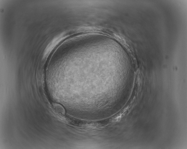 X0000064040103200601301158