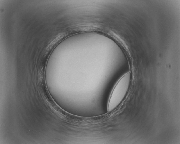 X0000064040105200601301158