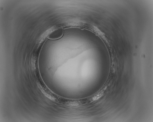 X0000064040106200601301158