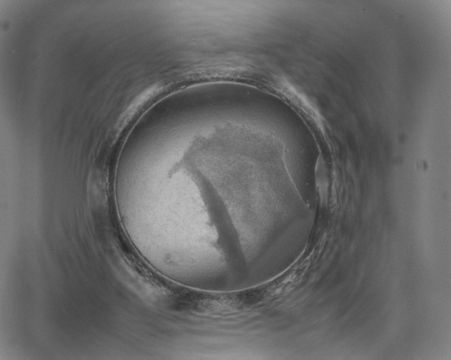 X0000064040107200601301158