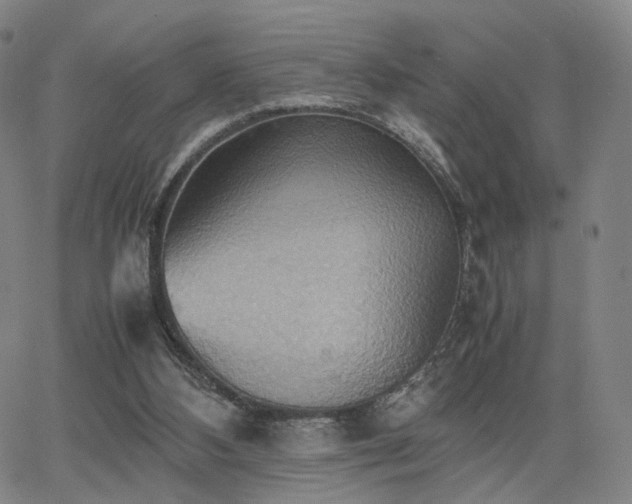 X0000064040108200601301158