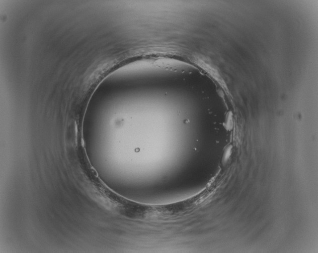 X0000064040109200601301158