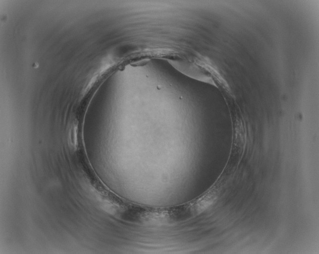 X0000064040110200601301158