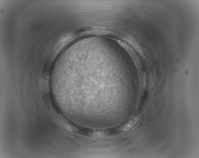 X0000064040111200601301158