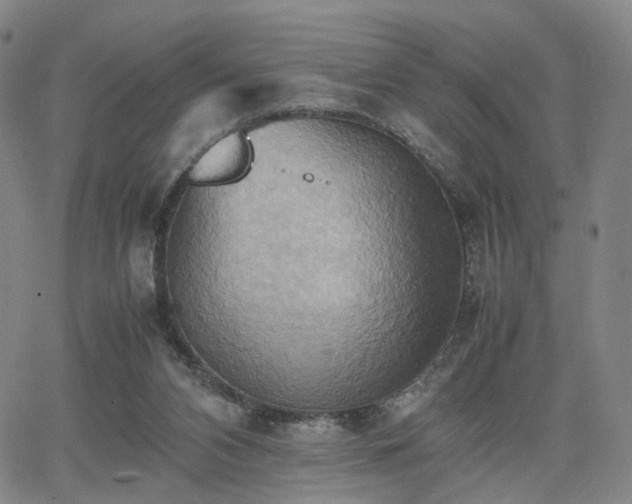 X0000064040112200601301158