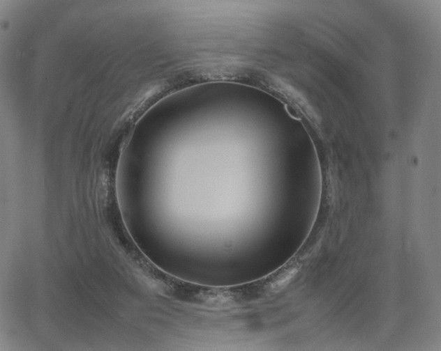 X0000064040113200601301158