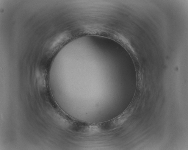 X0000064040114200601301158