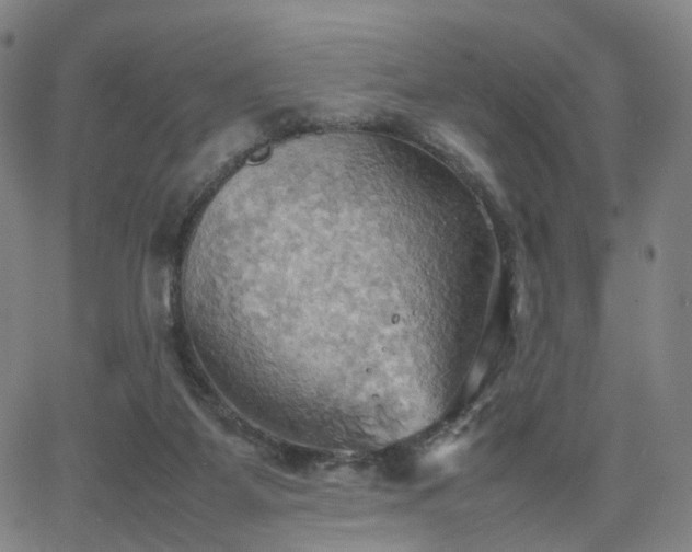 X0000064040115200601301158