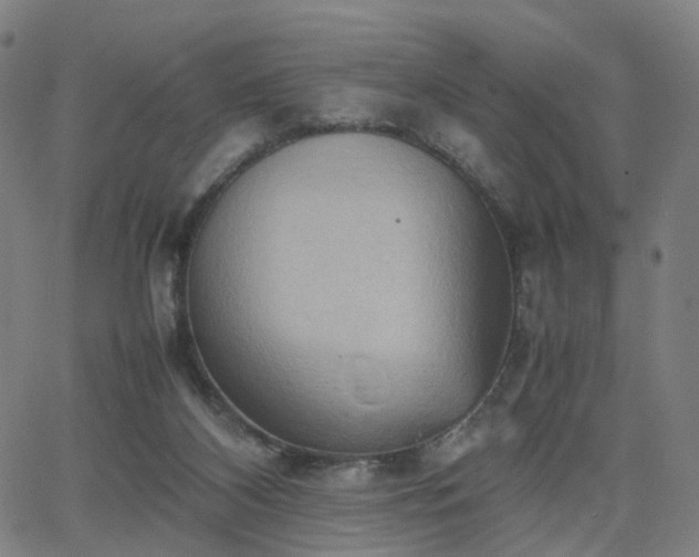 X0000064040116200601301158