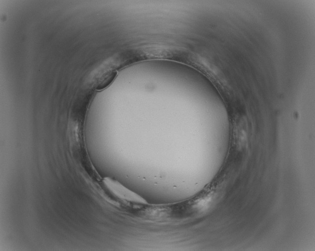 X0000064040117200601301158