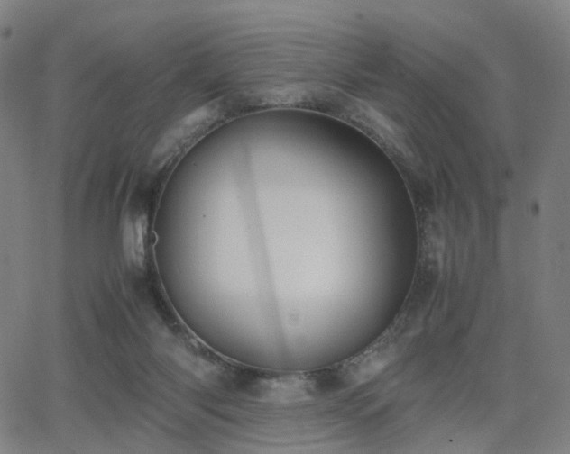 X0000064040118200601301158