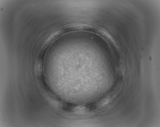 X0000064040119200601301158