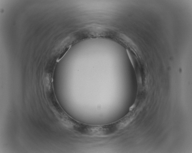 X0000064040121200601301158