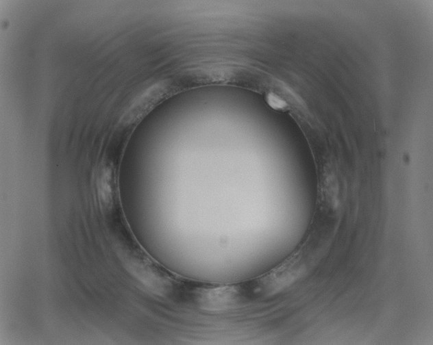 X0000064040122200601301158