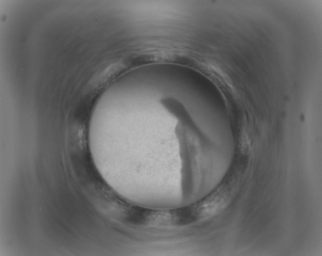 X0000064040123200601301158