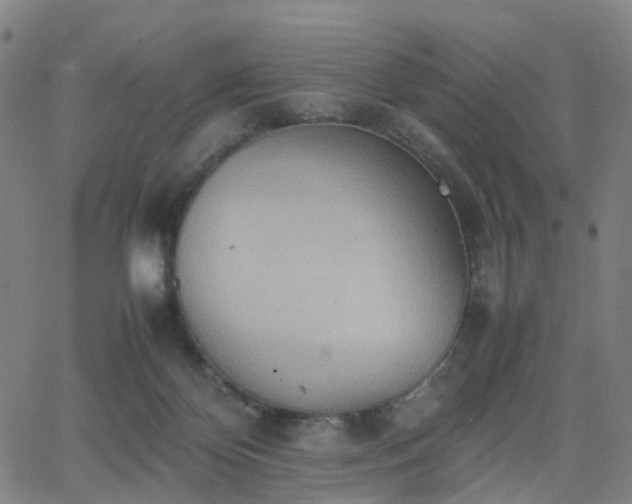 X0000064040124200601301158