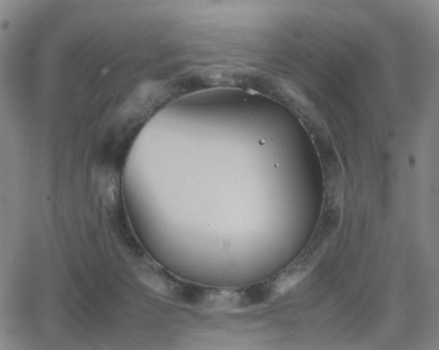 X0000064040125200601301158