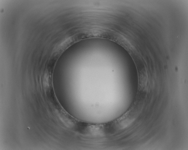 X0000064040126200601301158