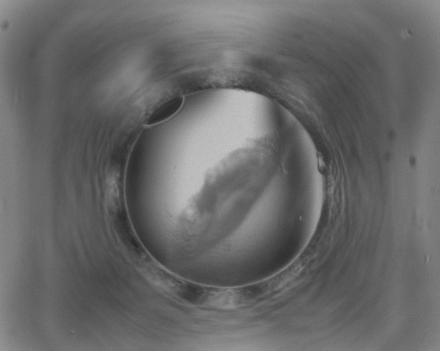 X0000064040127200601301158