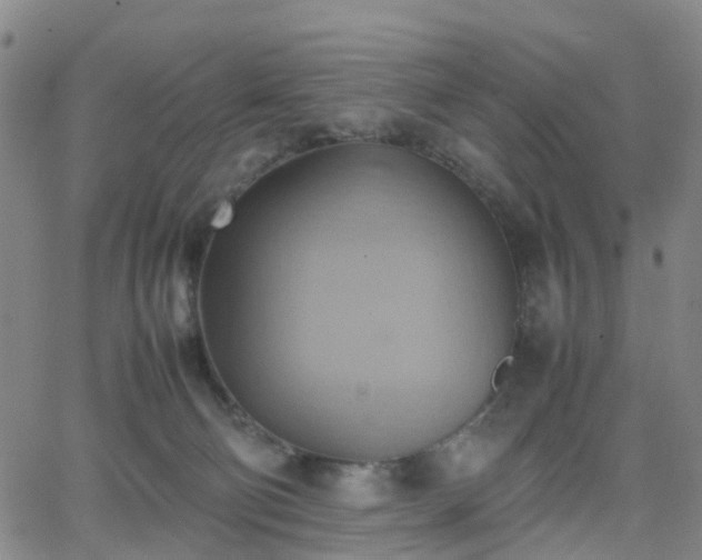 X0000064040130200601301158