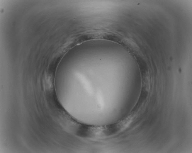 X0000064040131200601301158