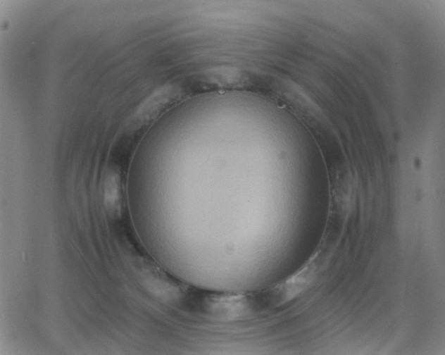 X0000064040132200601301158