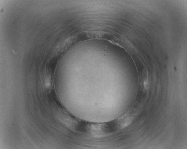 X0000064040134200601301158